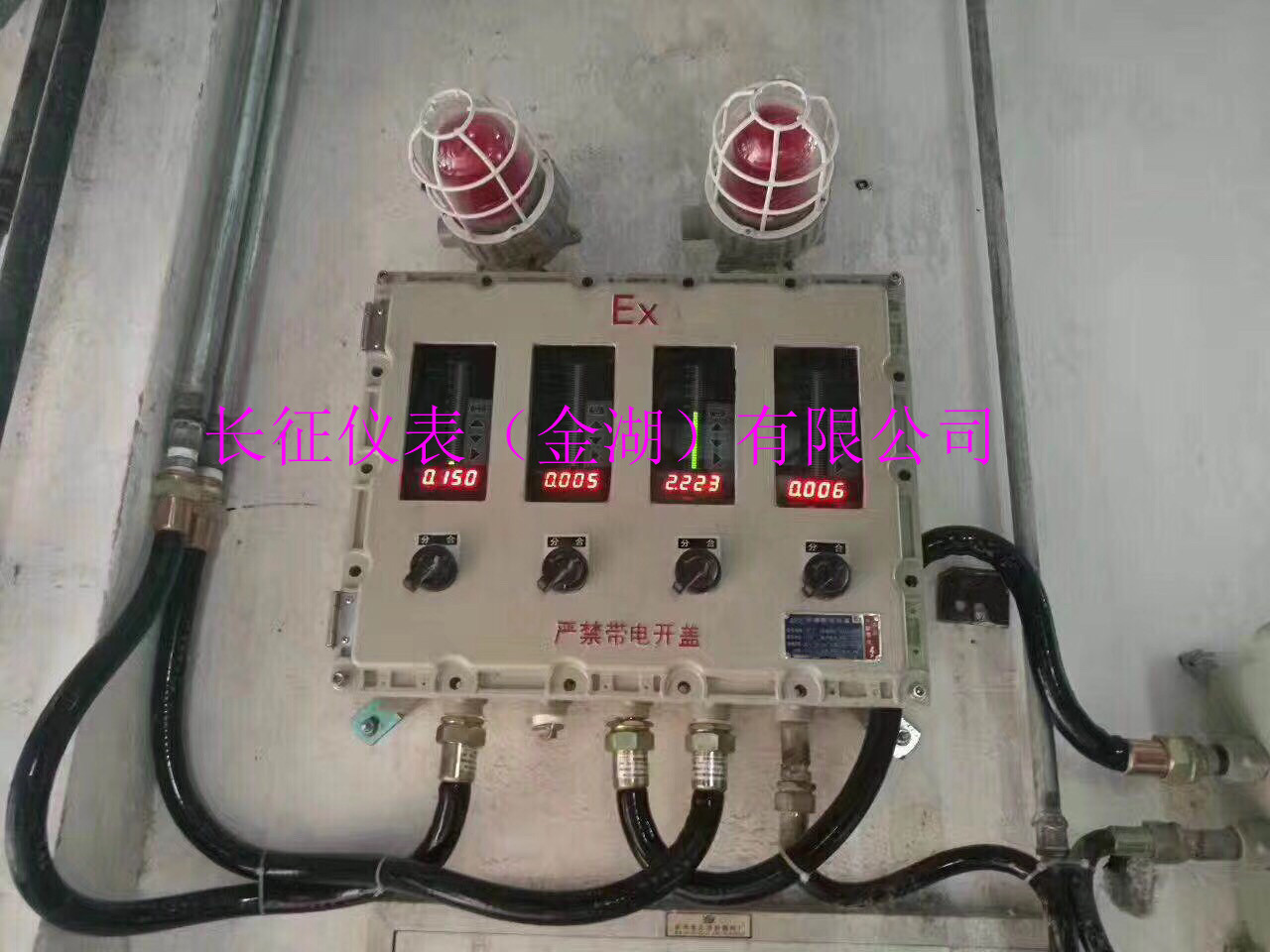 IMG_7678.JPG IMG_7678.JPG